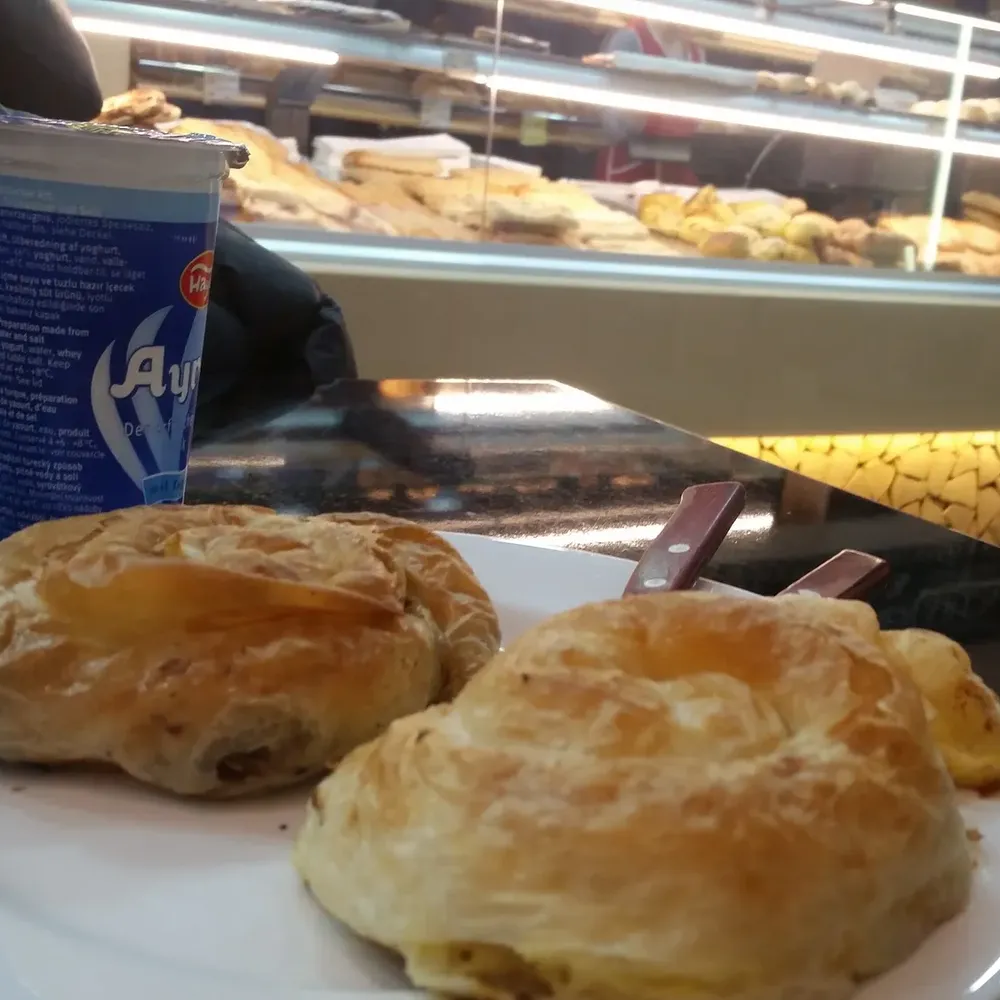 Zwei gerollte Burek, goldbraun gebacken, auf einem Teller